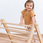 SIPITRI® 2 Segment Climbing Triangle