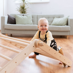SIPITRI® 2 Segment Climbing Triangle With a Sliding/Climbing Ramp